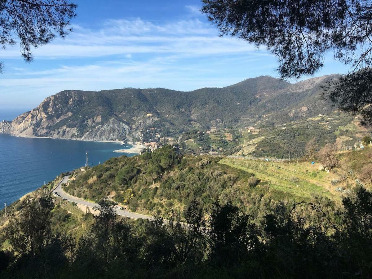 Apartamento La Terrazza Di Monterosso Monterosso al Mare Exterior foto